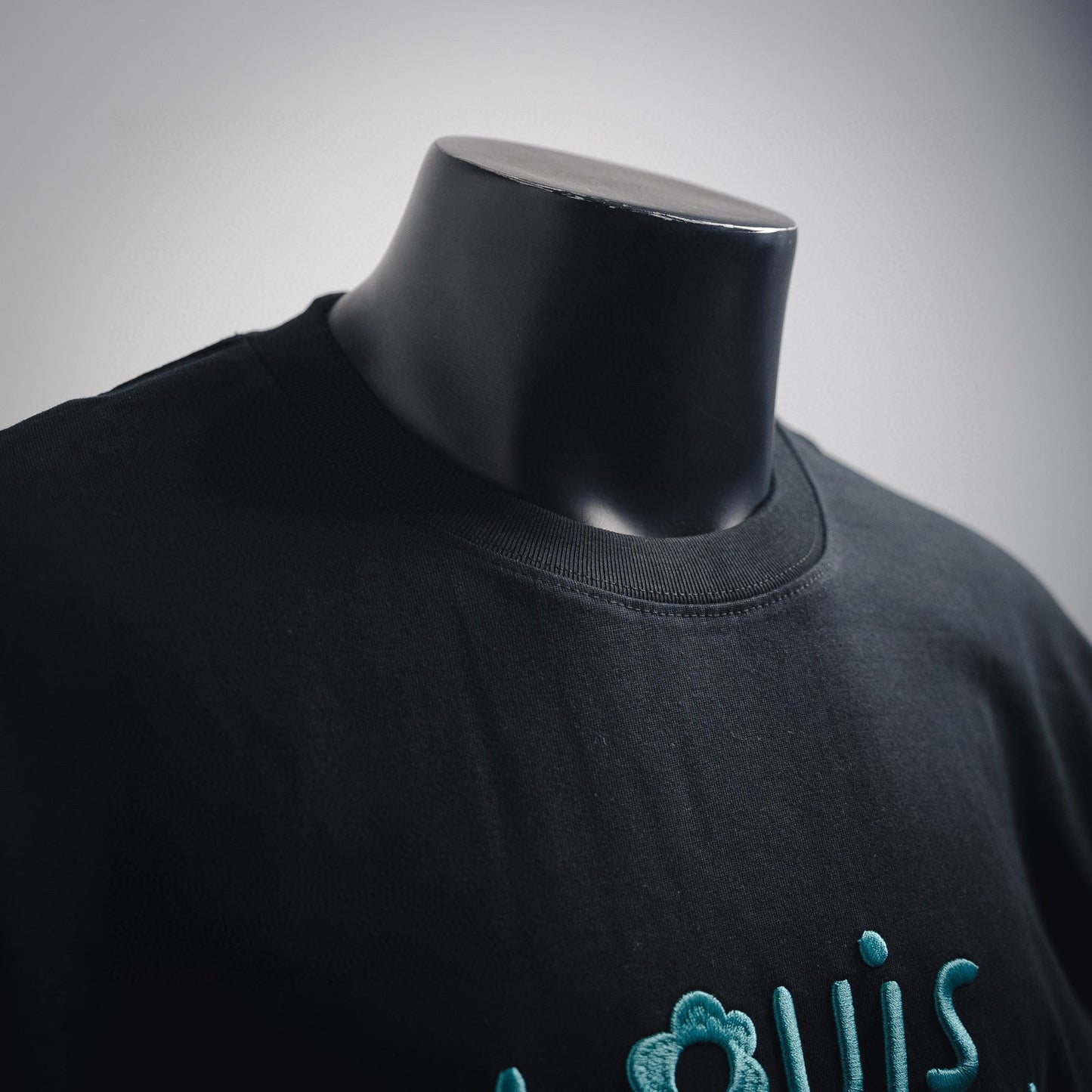 1V embroidered sweatshirt