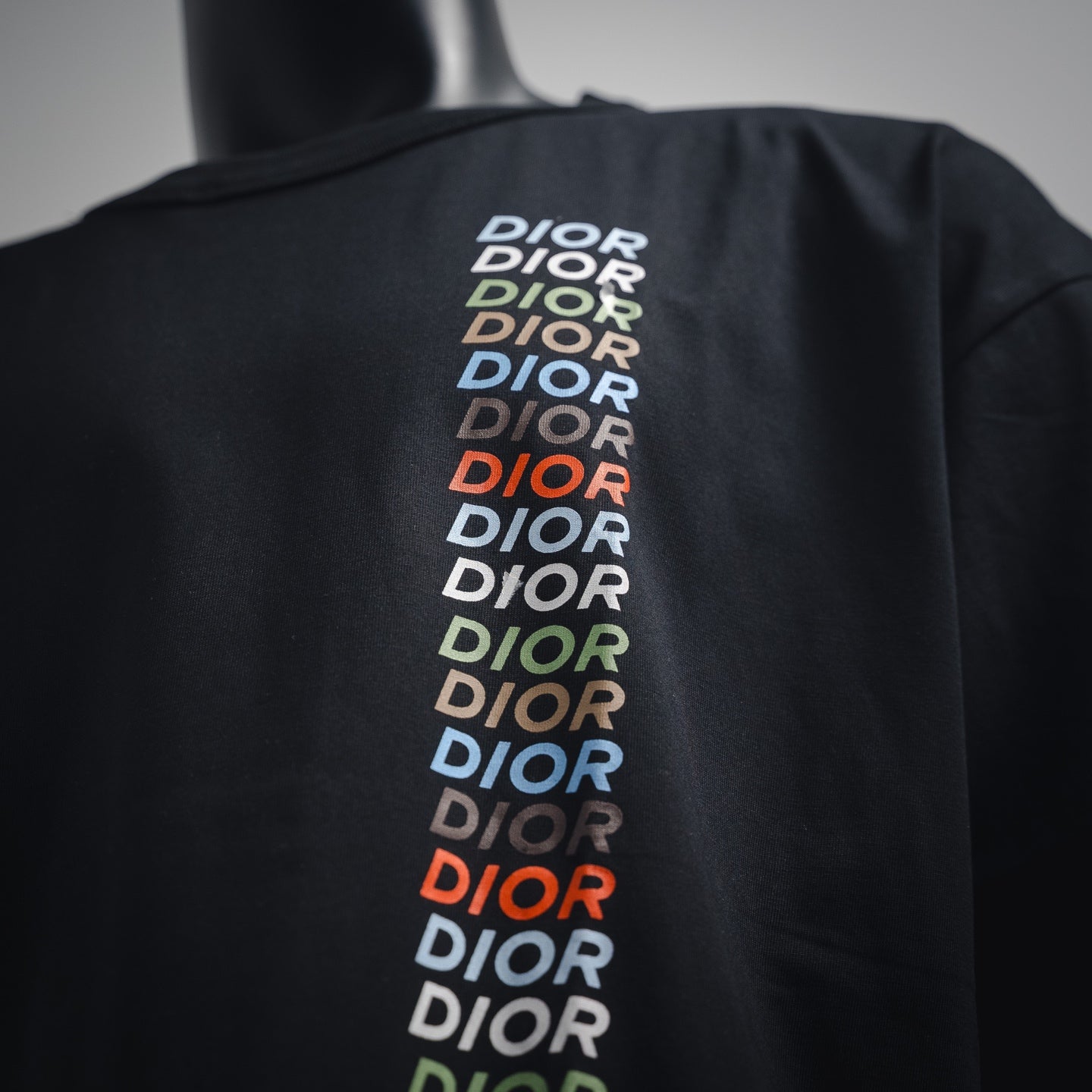 Dio print t-shirt