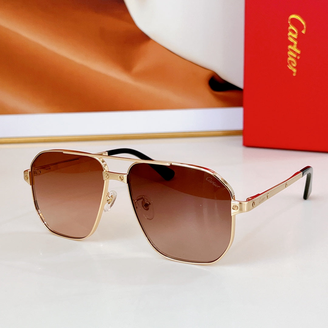 Car sunglasses
