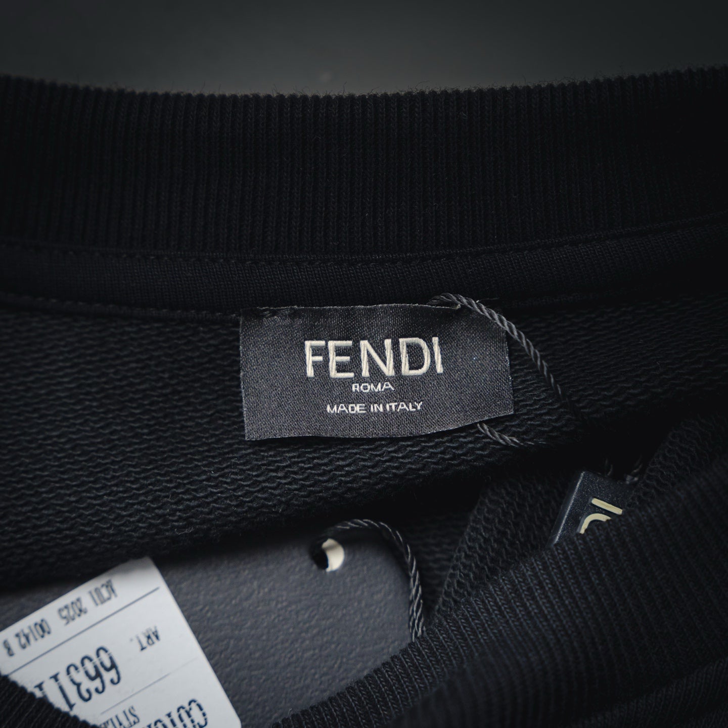 Fend 25fw printed hoodie