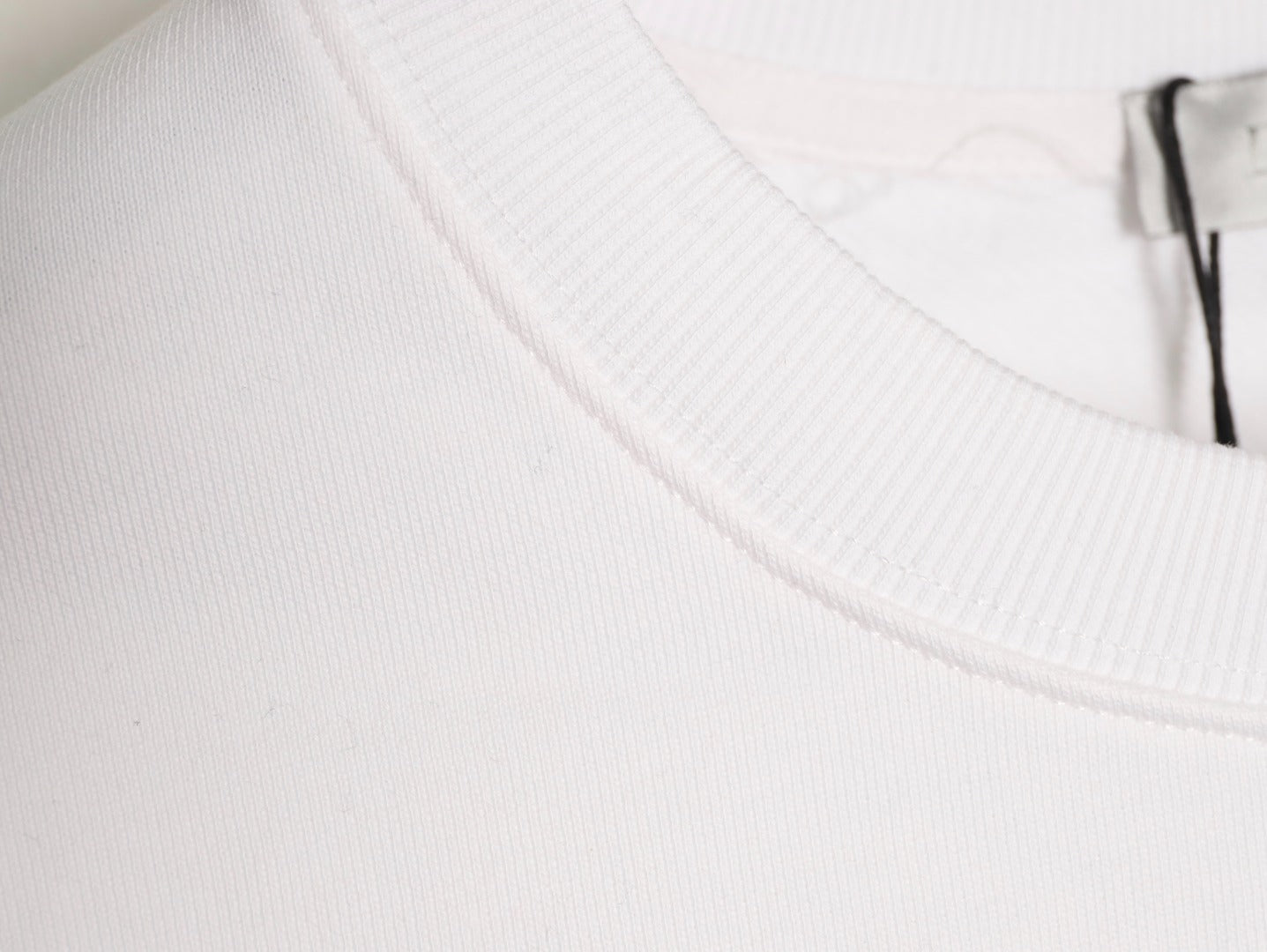CD 25fw embroidered hoodie