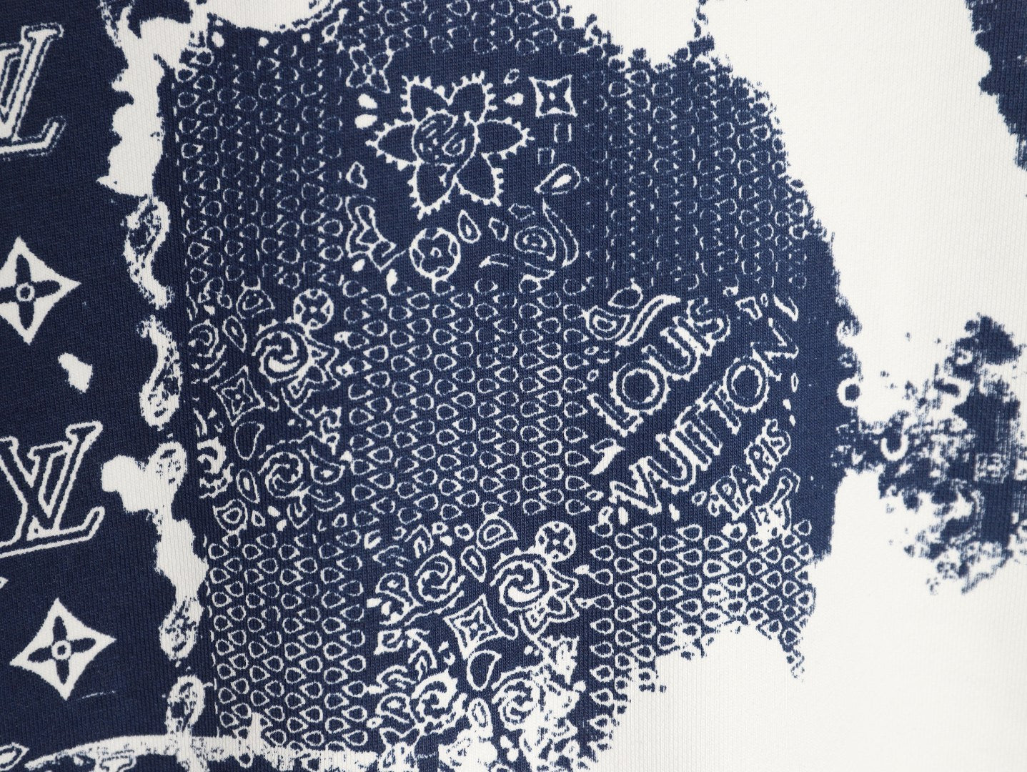 Louis 25fw printed hoodie