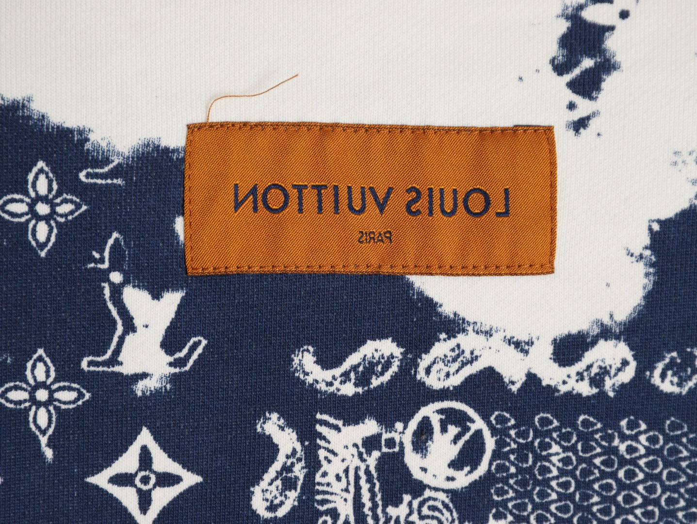 Louis 25fw printed hoodie