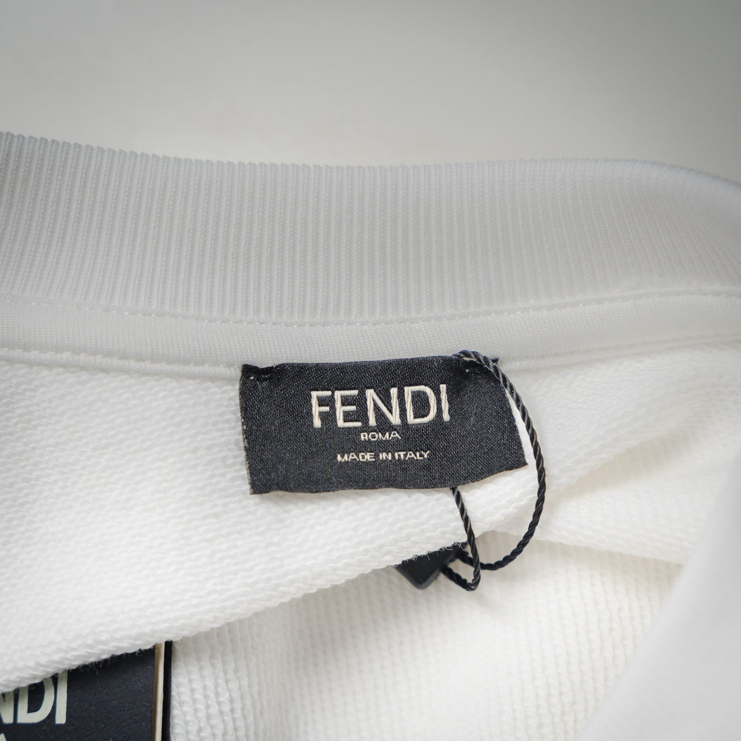 Fend 25fw printed hoodie