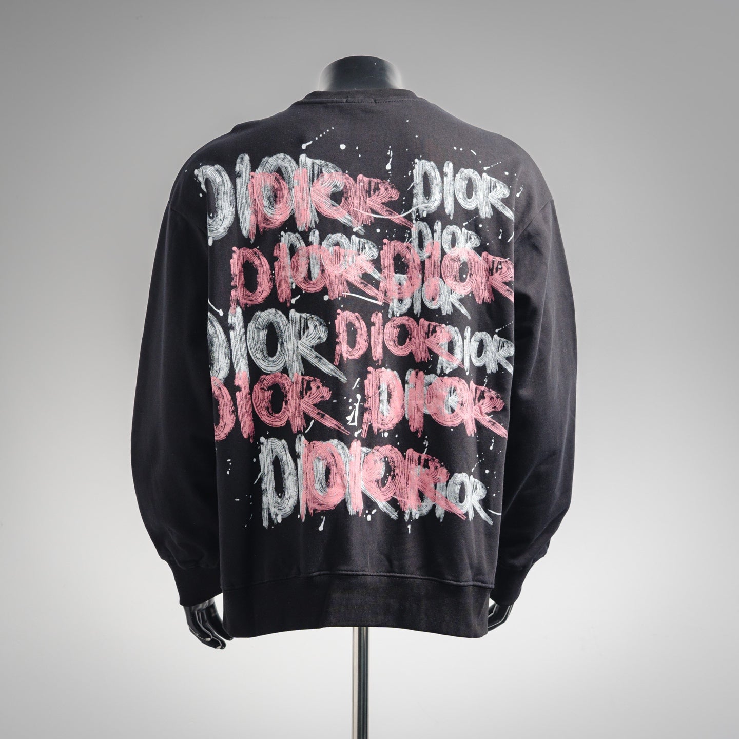 CD 25fw printed hoodie