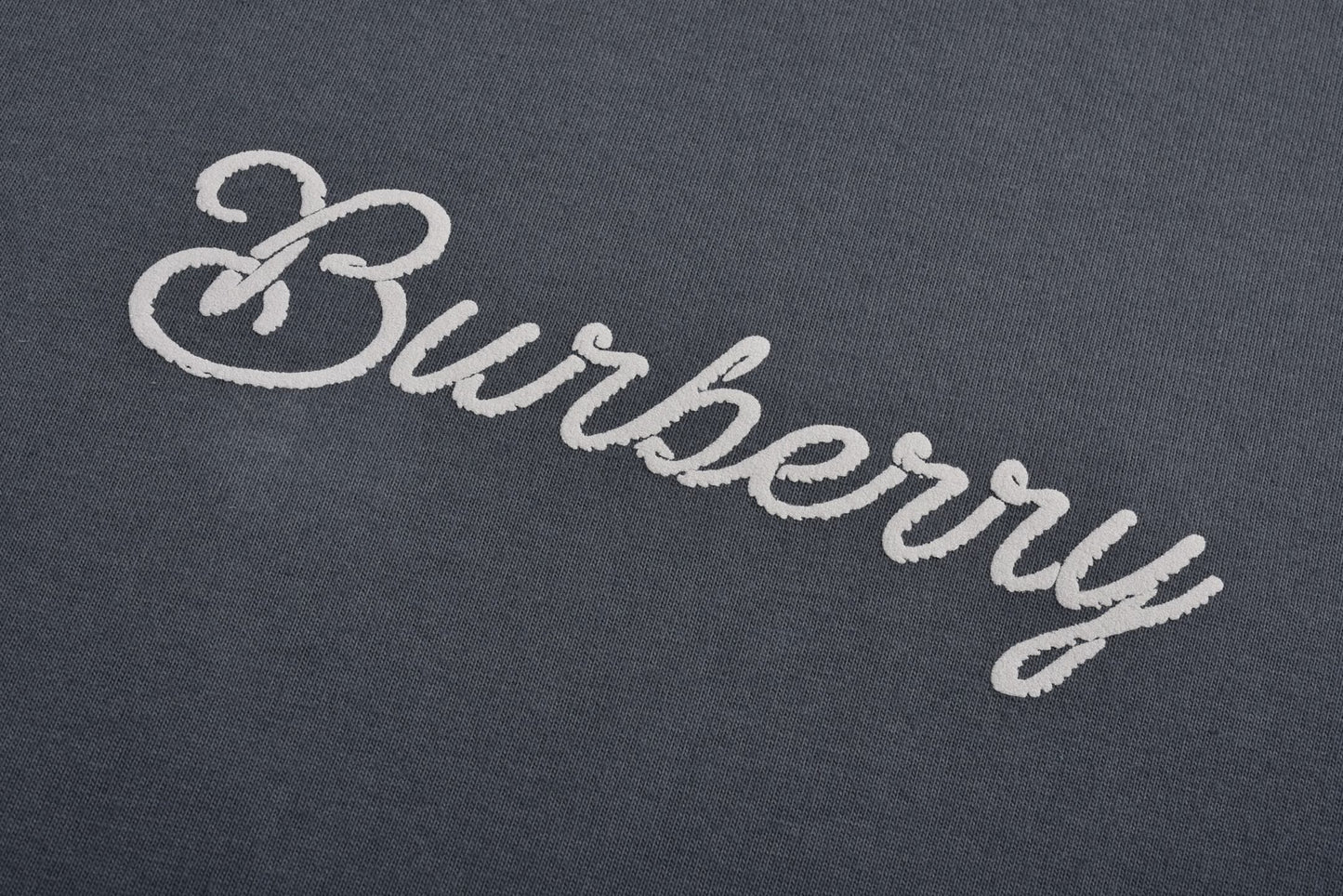 Burber 25ss printed t-shirt