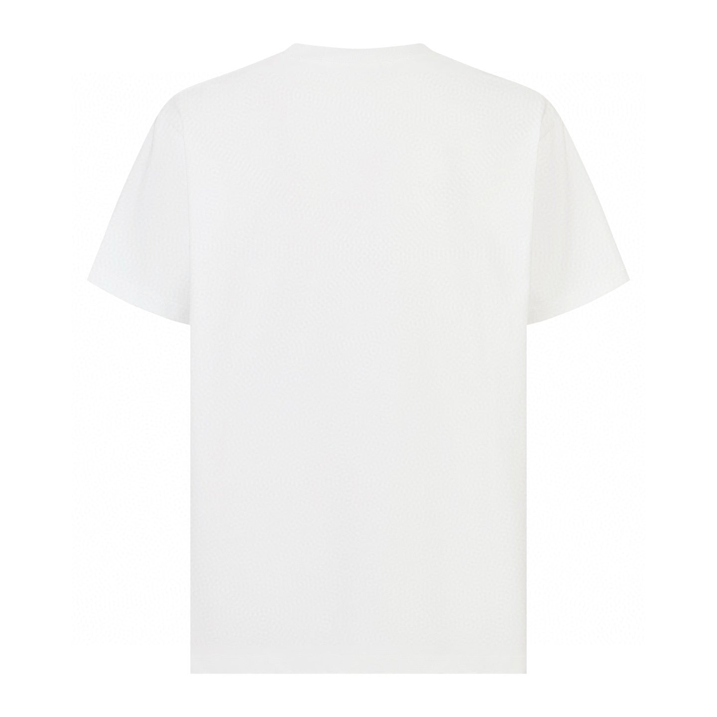 Dio 25ss embroidered t-shirt