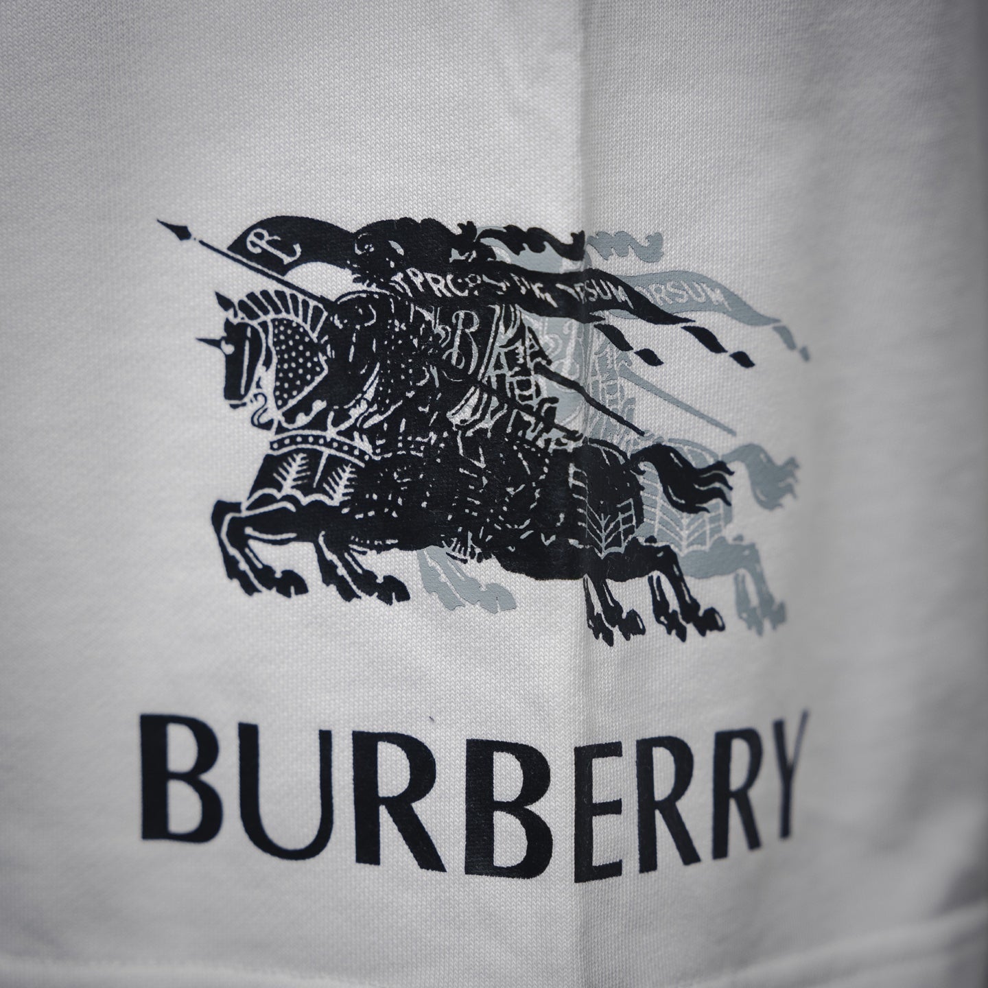 Burber 25ss print short