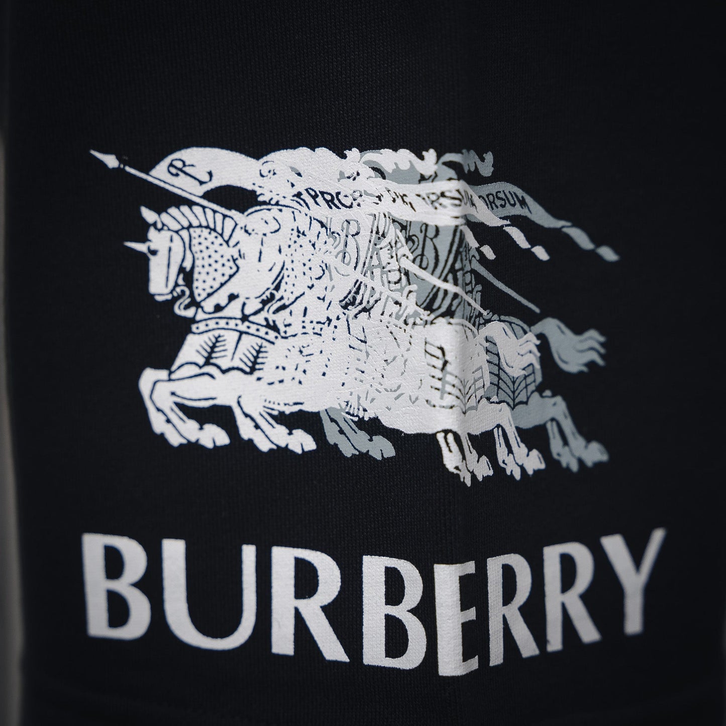 Burber 25ss print short