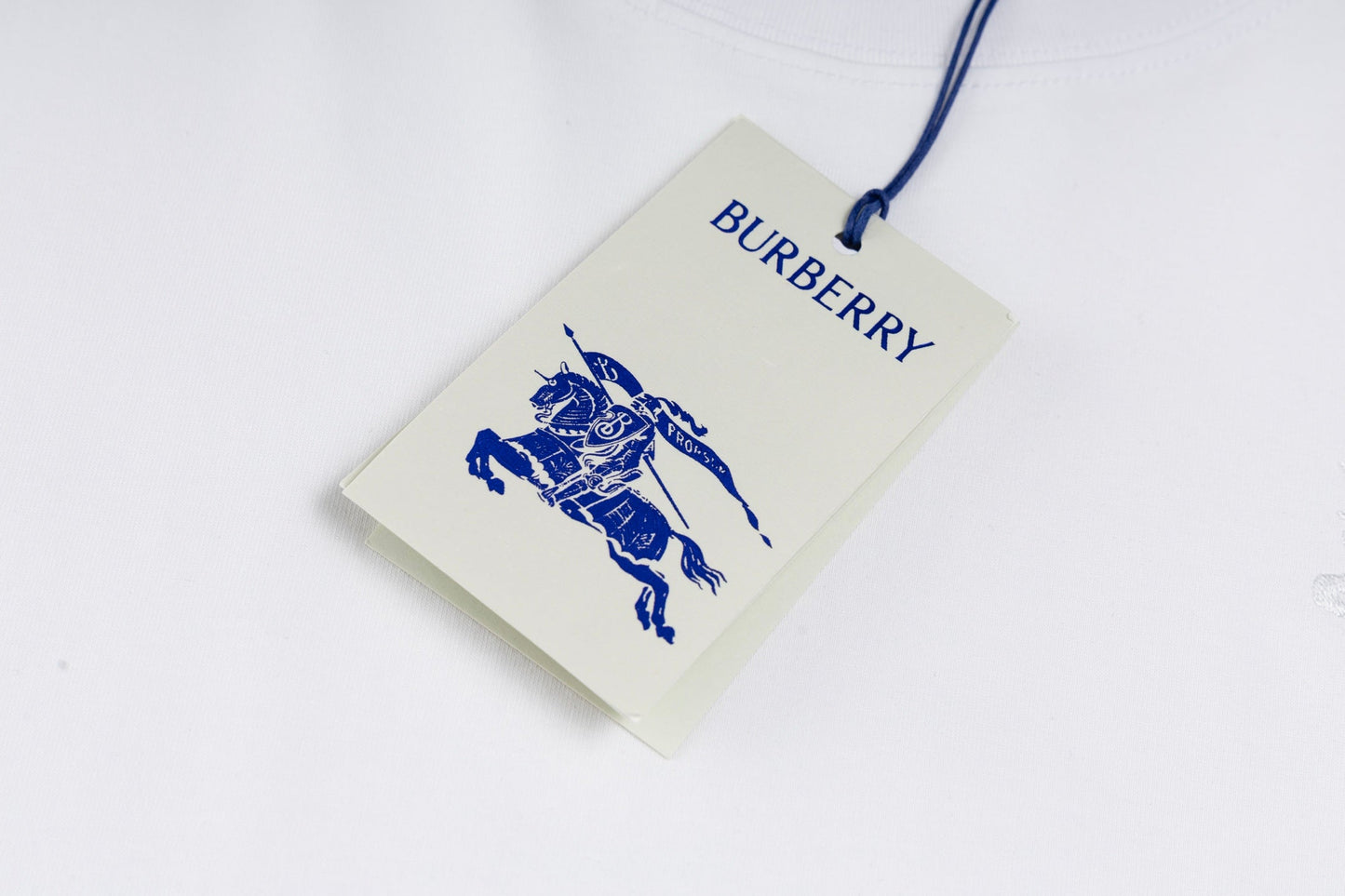Burber 25ss webbing t-shirt