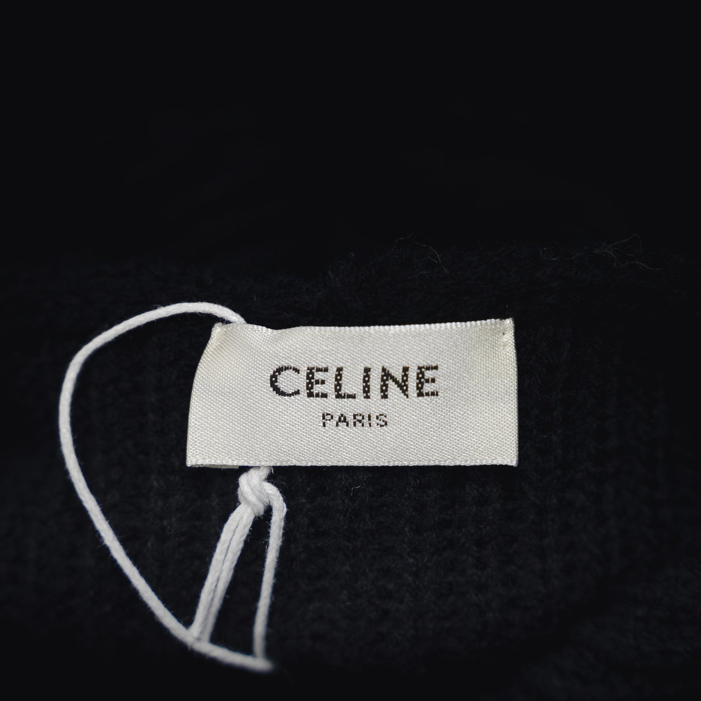 Celine 25fw hoodie sweater