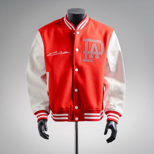 Louis 25fw embroidered jacket