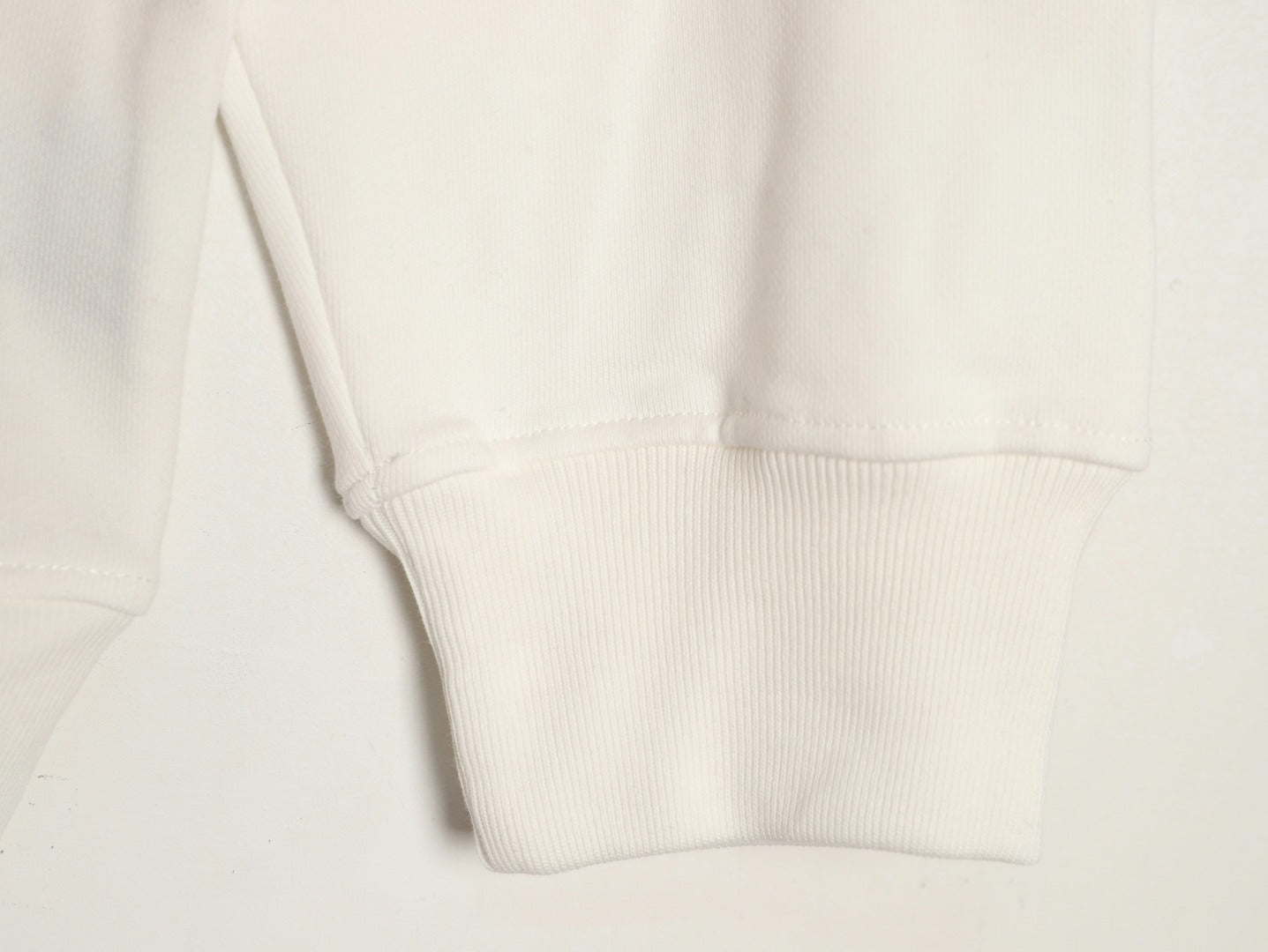 Fend 25fw embroidered hoodie