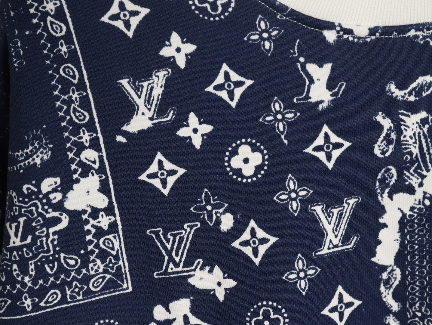 Louis 25fw printed hoodie