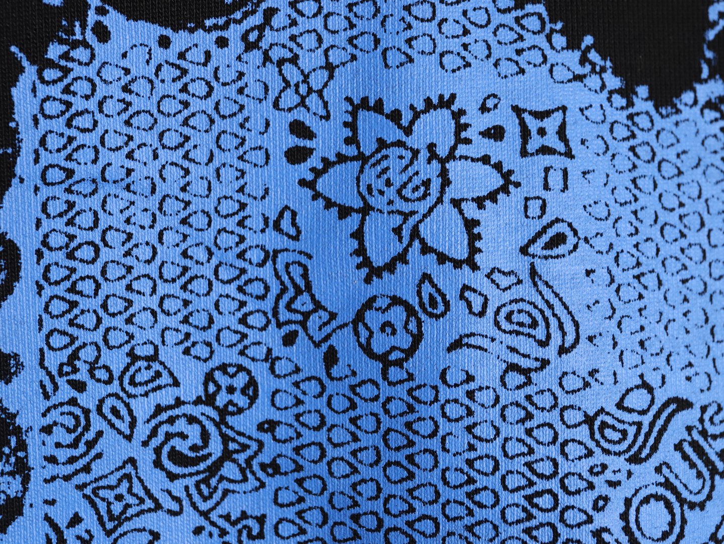 Louis 25fw printed hoodie