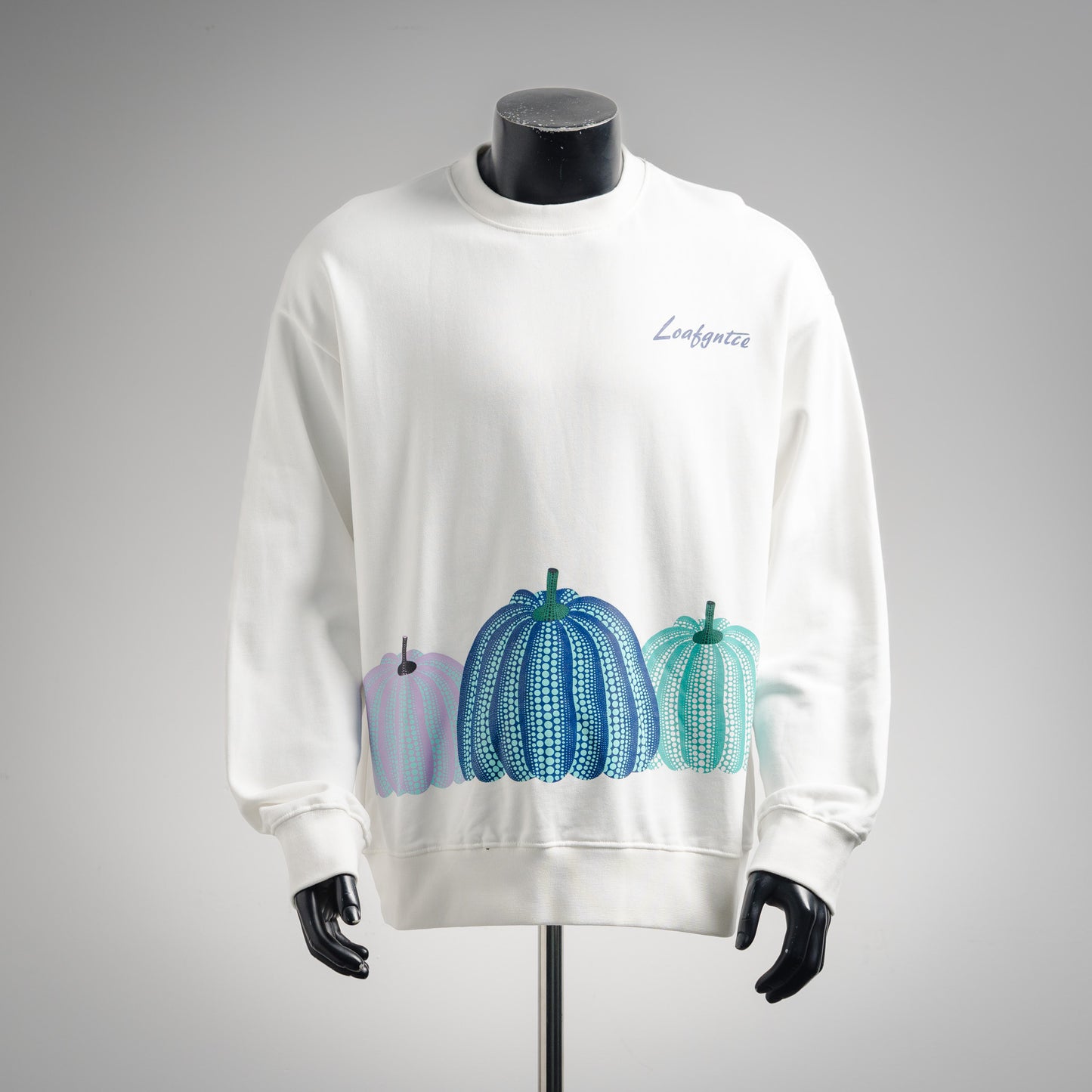 Louis 25fw printed hoodie