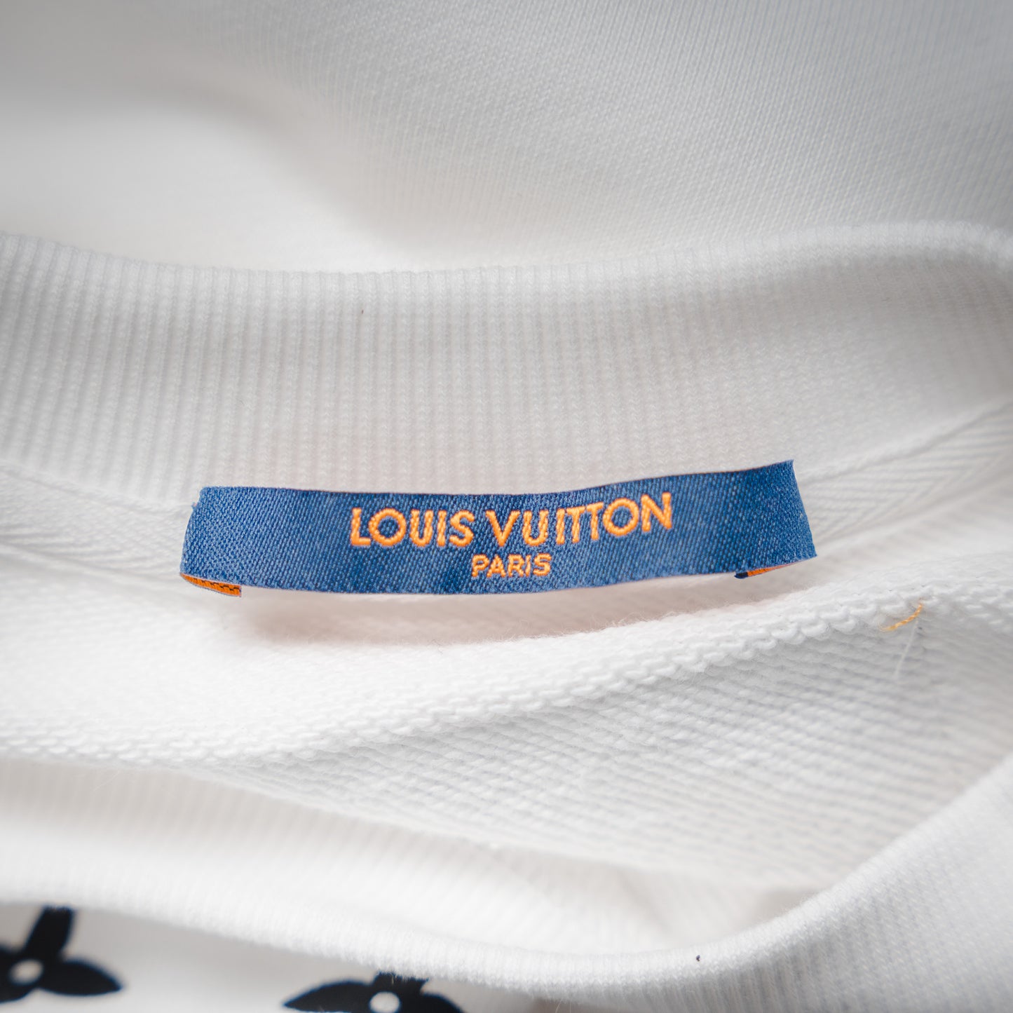 Louis 25fw printed hoodie